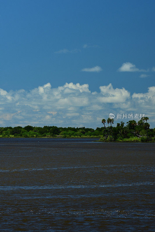 一层夏季云在沿海岛屿与棕榈树在海洋森林