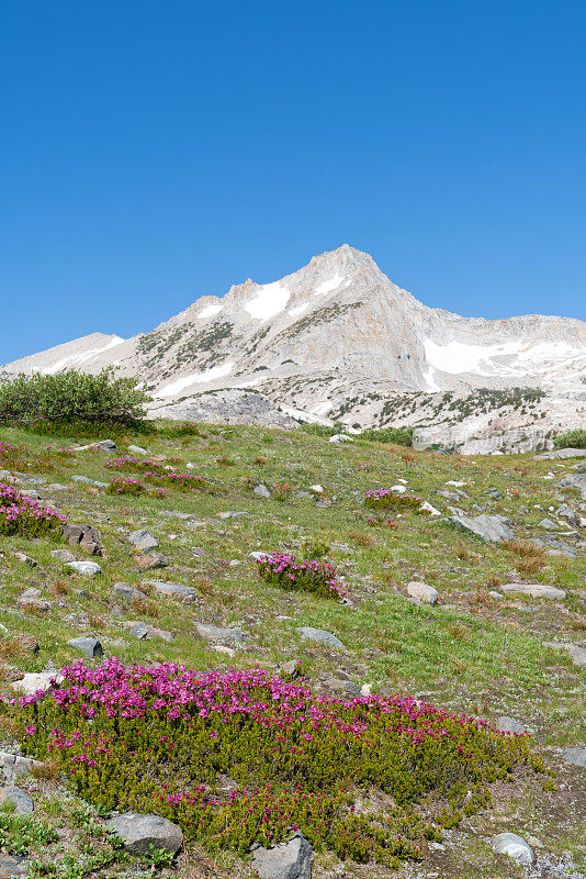 康奈斯山和北峰