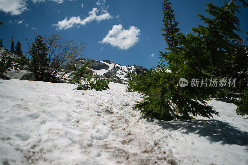 冬季，雪景-树木-山脉-徒步小径