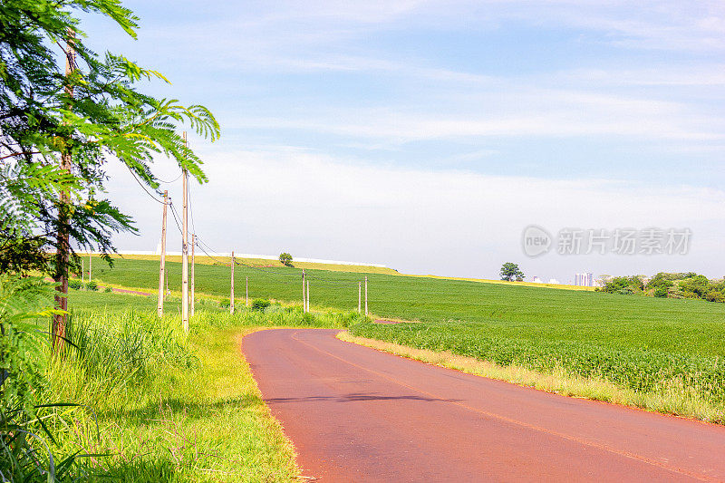 巴西内陆的公路。