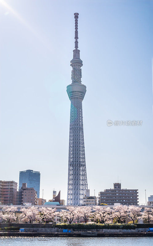 东京天空树大厦和隅田河城市景观