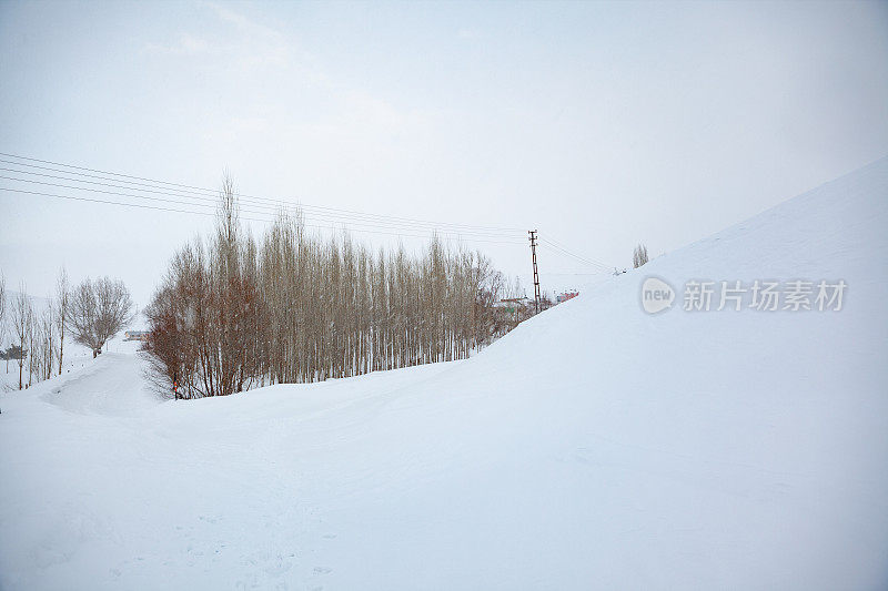 冬天的雪景