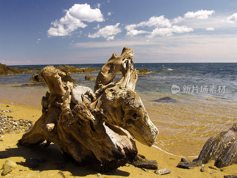 圣特罗佩瓦尔普罗旺斯海岸南部法国-世界著名的旅游胜地和度假胜地在一个温暖阳光明媚的夏日。大溪地海滩广场。