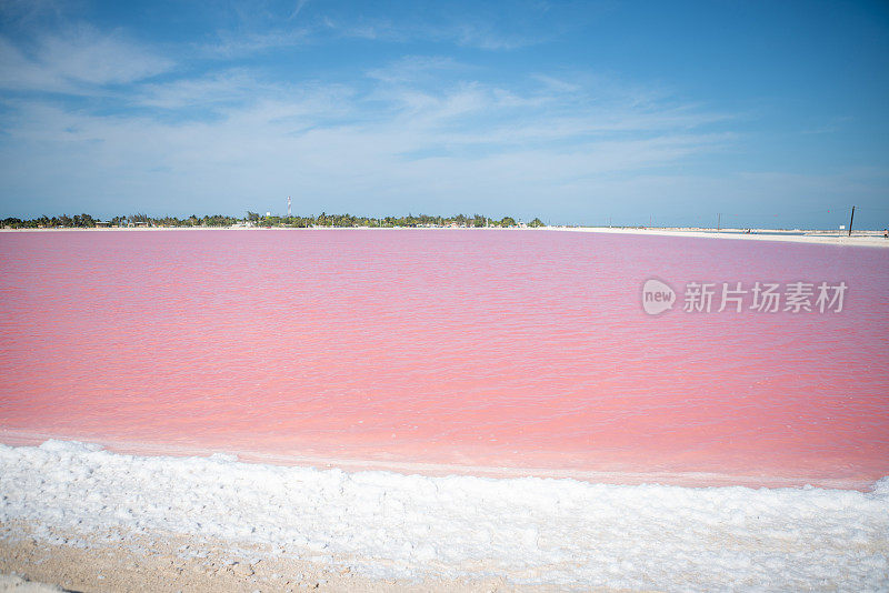 美丽的粉色泻湖，墨西哥