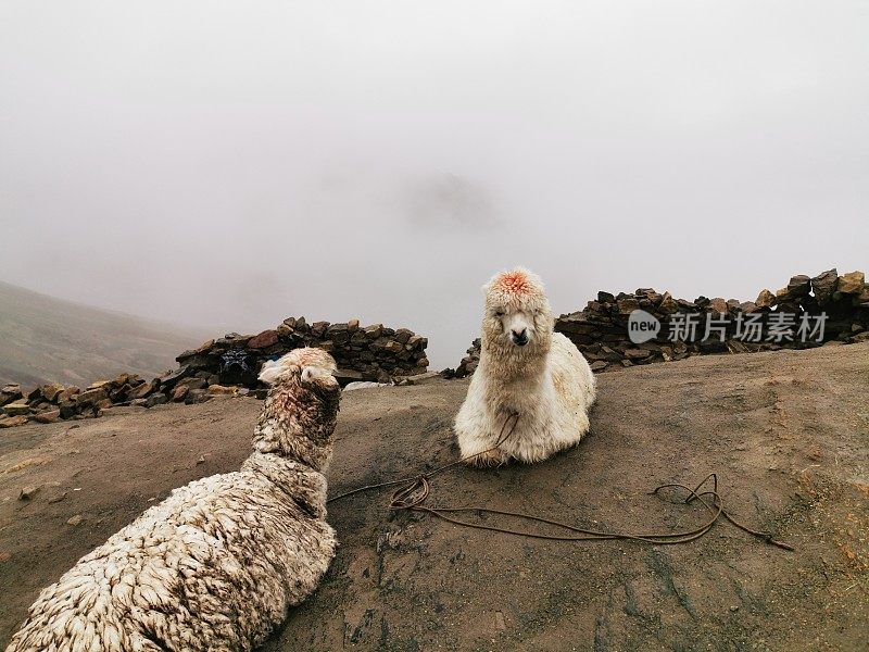 彩虹山