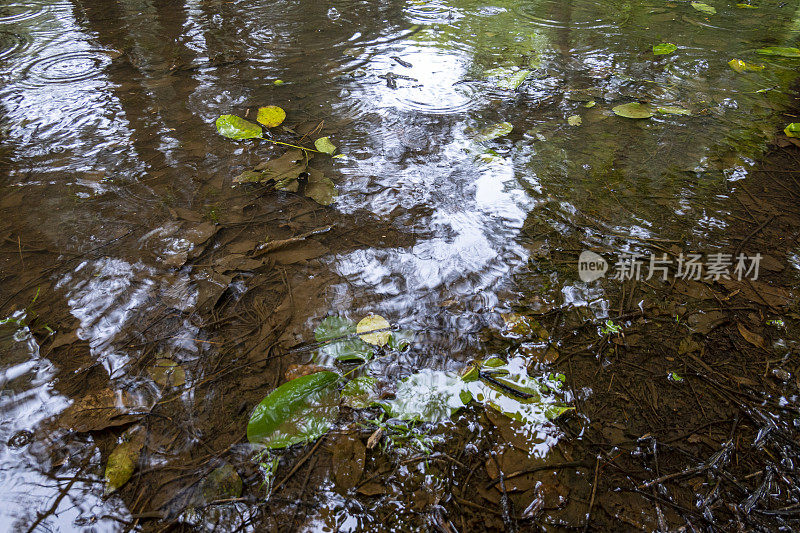 水坑里有水滴