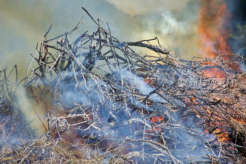 乡村场景中火被控制燃烧