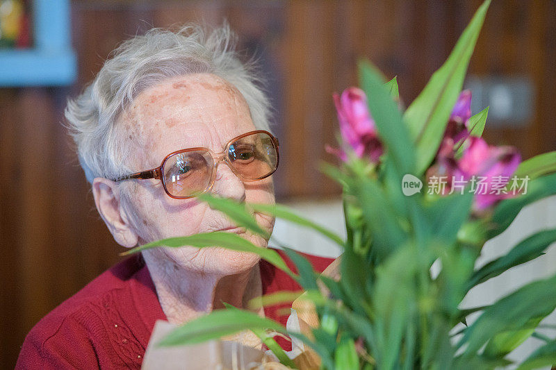 老年人。退休社区。一位残疾老妇人看着植物的肖像是她儿子送给她的礼物