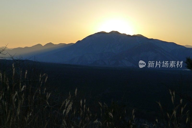 青木原来自日本山大(富士箱根伊豆国家公园)