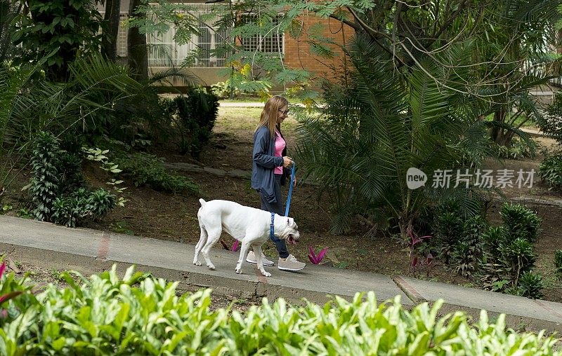 三岁的女人和狗