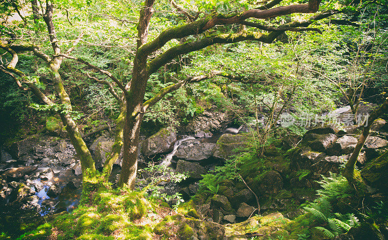 艾拉贝克河在英国湖区