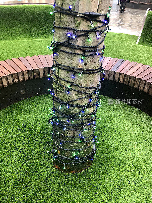 园林装饰形象LED绳仙女灯缠绕成螺旋状围绕裸露的树干，照亮五颜六色的季节装饰