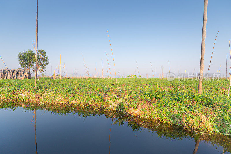 茵莱河清晨绿色草地在缅甸阿隆河