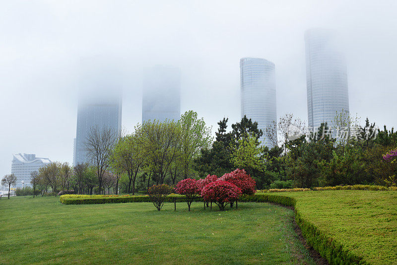 中国山东省日照市，花儿在春雨中绽放