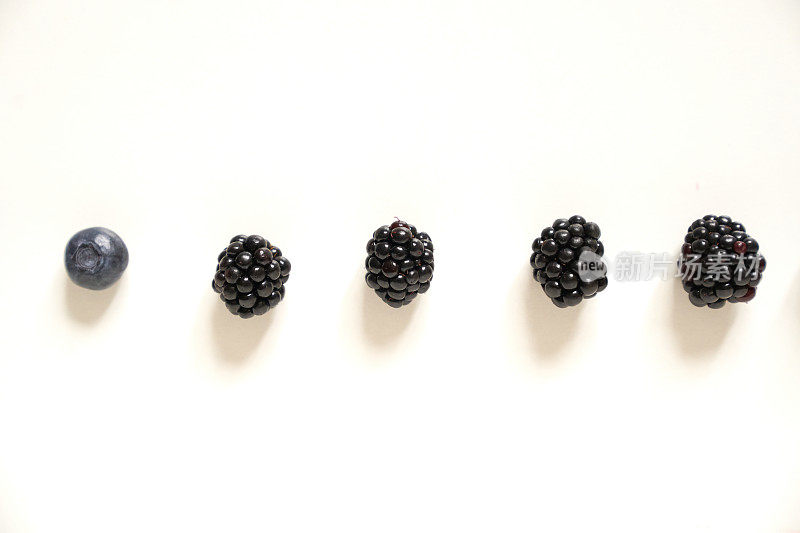 白色背景上的黑莓和蓝莓
