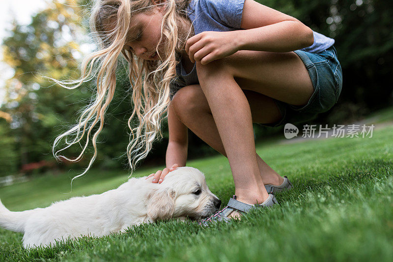 女孩与金毛猎犬小狗玩耍