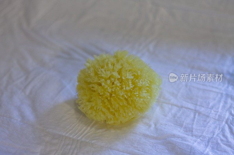 婴儿洗澡用的黄色海绵(市场，意大利，欧洲)