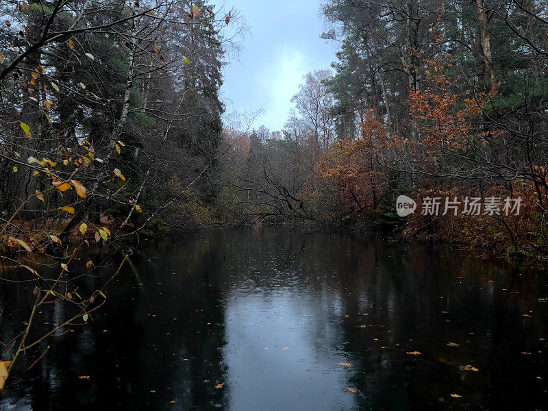 在潮湿的天气里，冬天傍晚森林中央的一个小湖。