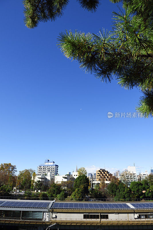 建筑屋顶上的太阳能电池板对着晴朗的天空