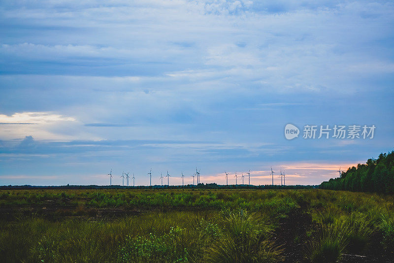 高沼地上的田野，天空引人注目。