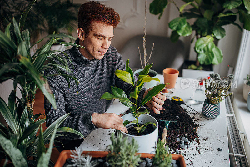 里德海德先生在家里种植室内植物