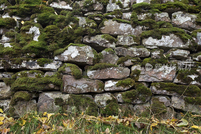 苔藓覆盖着干燥的石墙，格林顿，北约克郡