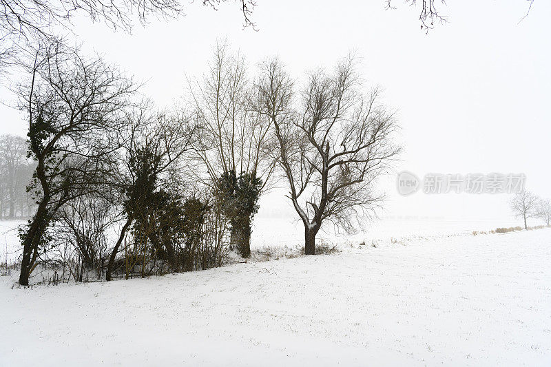 在一个寒冷的冬天，在Zwolle附近的Soeslo庄园的雪景