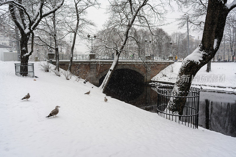 拉脱维亚里加冰雪公园的冬季景观