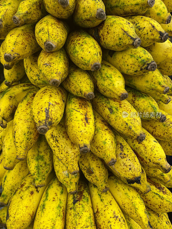 整幅图片，一捆捆成熟的香蕉，带斑点的黄色香蕉，手握水果挂在户外生鲜市场的摊位上，重点关注前景