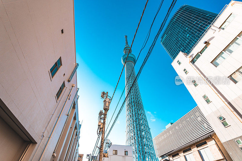 东京天空树位于东京镇的街道上