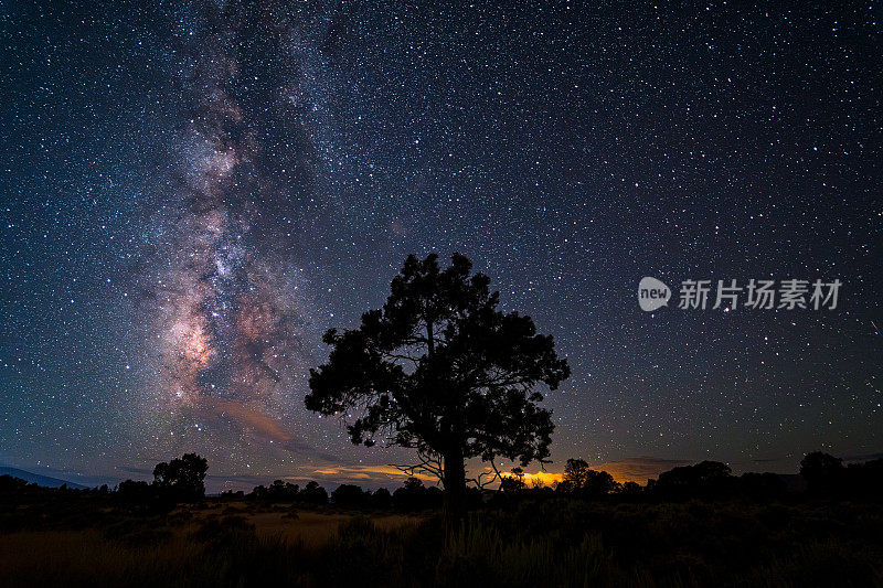 孤树银河系和英仙座流星雨