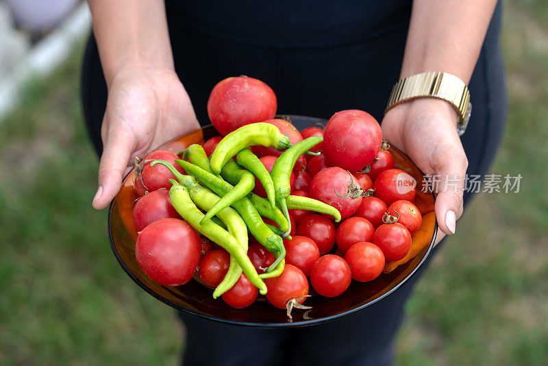 有机蔬菜，健康食品，收获理念