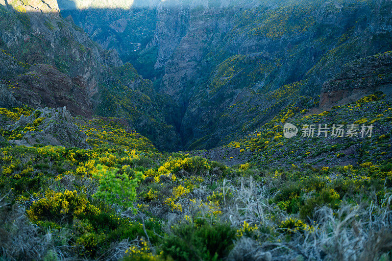 高角度观看马德拉山花谷的壮丽景色