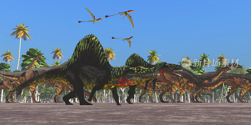 亚利桑那龙恐龙