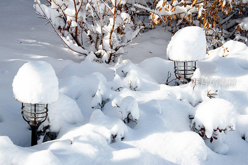 后花园刚下过雪