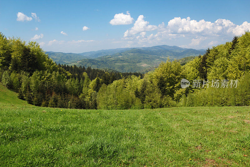 五月的山景。Beskid,波兰。