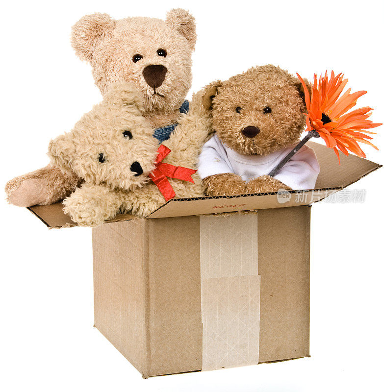 泰迪熊家庭包装盒与花