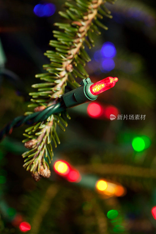 圣诞树上的LED圣诞灯细节