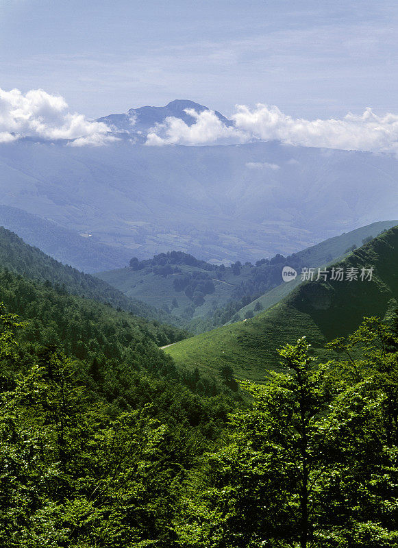 庇里牛斯山