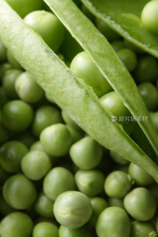 蔬菜蒸馏器:绿豌豆