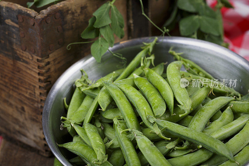 新鲜采摘的生有机绿色蔬菜豌豆