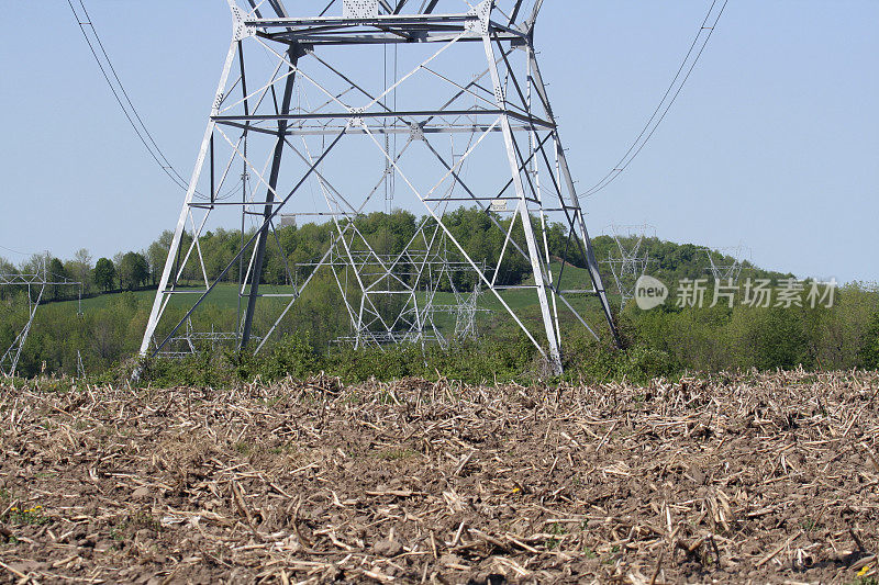 玉米田里的农村输电塔