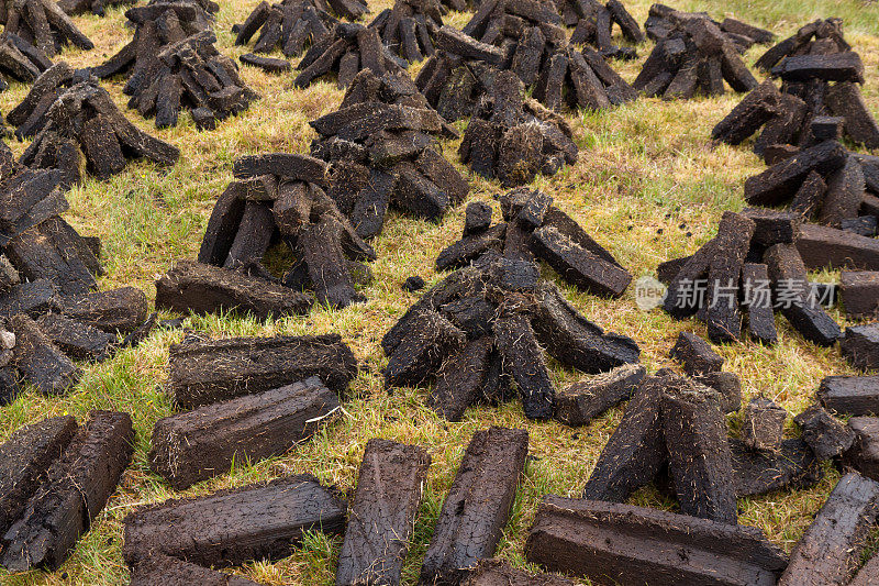 草坪砖