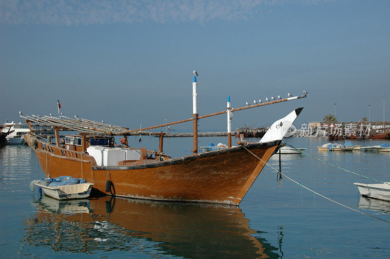 在科威特港与海鸥的三角帆