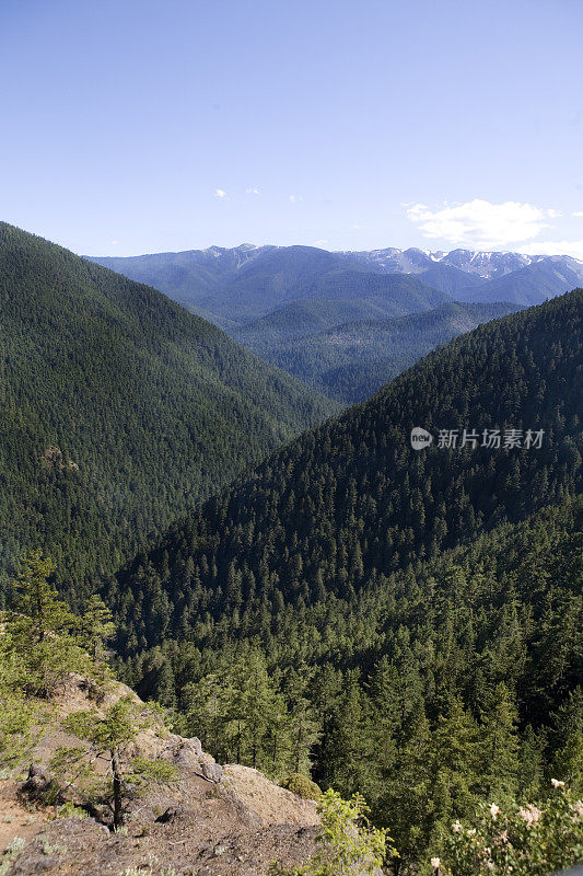 雪山上流下来