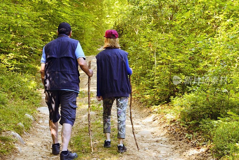 一对老年夫妇在森林里徒步旅行