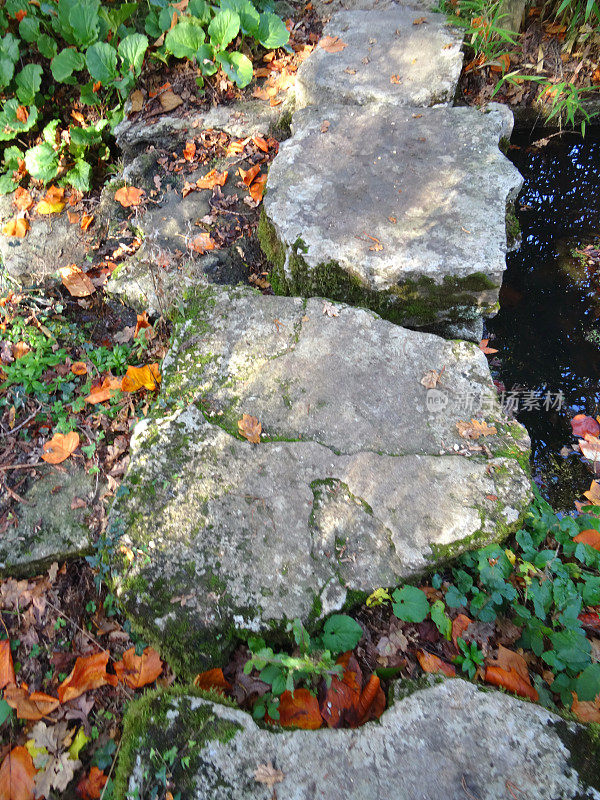自然踏脚石形成的园林石道的形象