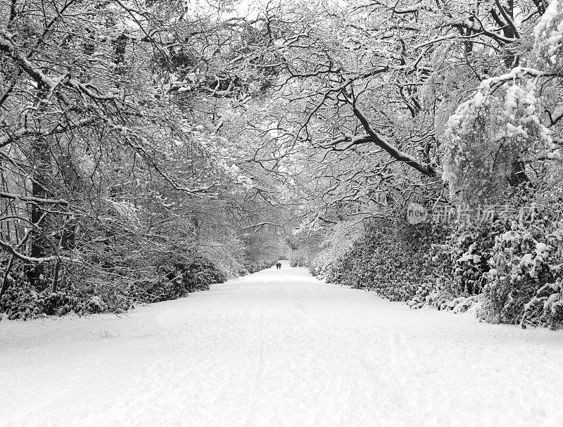 冬季降雪