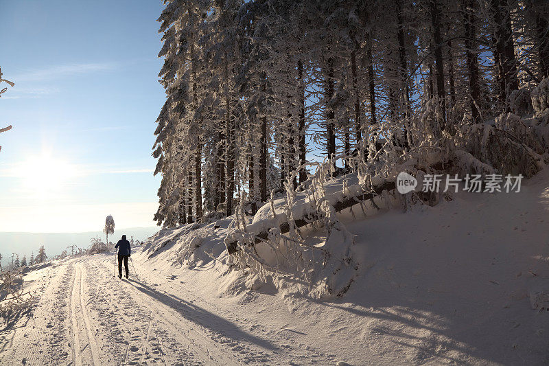 下雪的冬天的风景