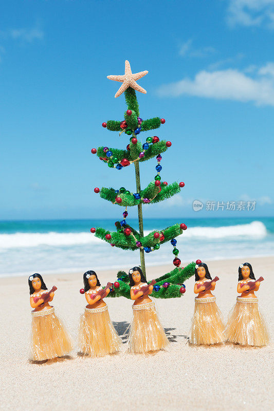 圣诞草裙舞在热带夏威夷海滩佛蒙特